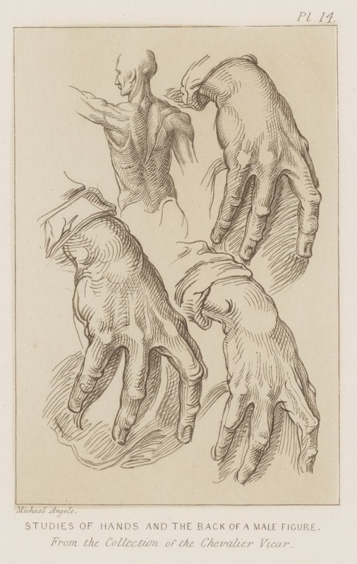 Studier av händer och baksidan av en mansfigur (etsning) av Michelangelo (after) Buonarroti