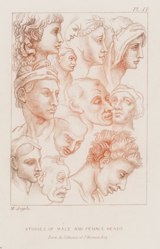 Studier av manliga och kvinnliga huvuden (etsning) av Michelangelo (after) Buonarroti