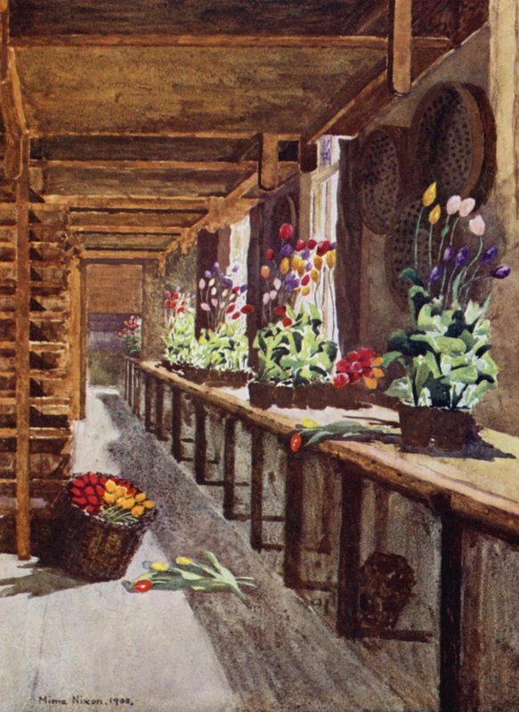 A Bulb House (färg litho) av Mima Nixon