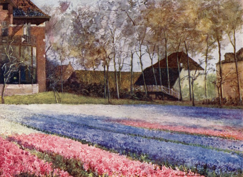 En holländsk trädgård på våren (färg litho) av Mima Nixon