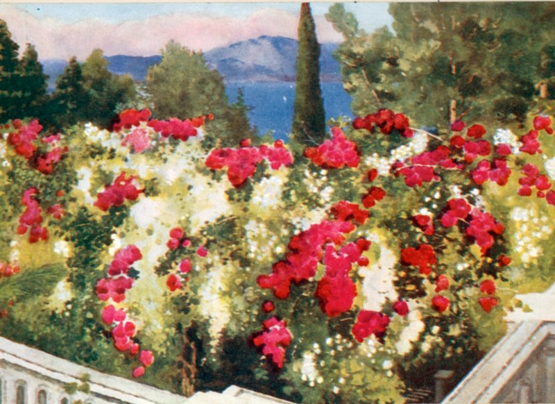 Rosens pergola, Achilleion, Korfu av Mima Nixon