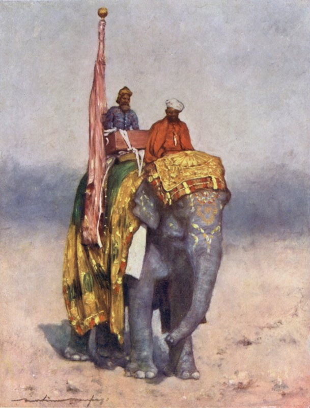 En elefant från det sandiga avfallet i Rajputana av Mortimer Ludington Menpes