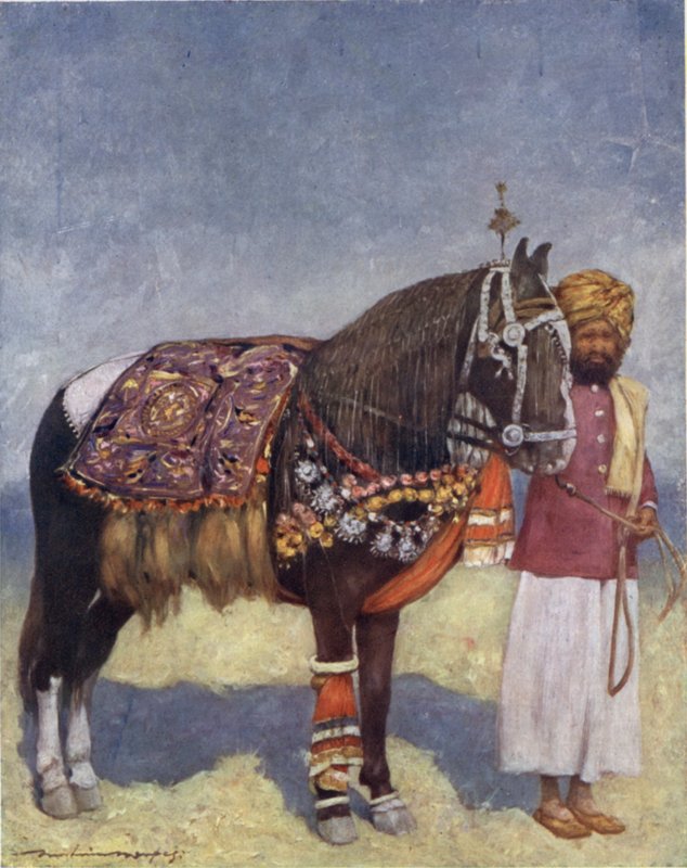 En häst från Jodhpur (färg litho) av Mortimer Ludington Menpes