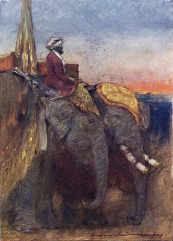Jaipur elefanter (färg litho) av Mortimer Ludington Menpes