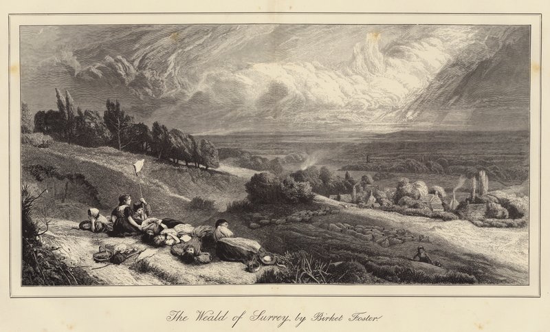 The Weald of Surrey av Myles Birket Foster