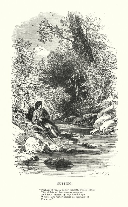 William Wordsworth: Nutting (gravyr) av Myles Birket (after) Foster