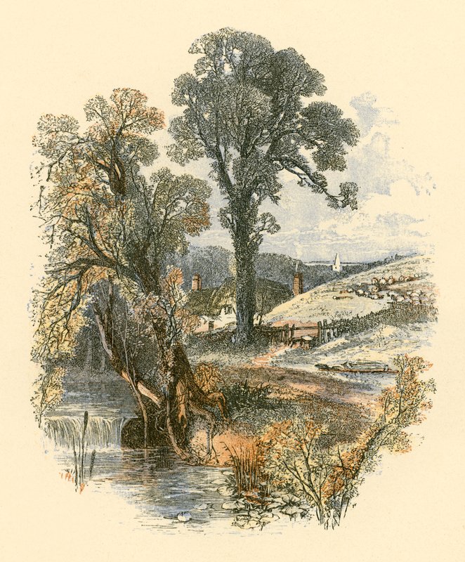 Naturens skönheter av Myles Birket Foster