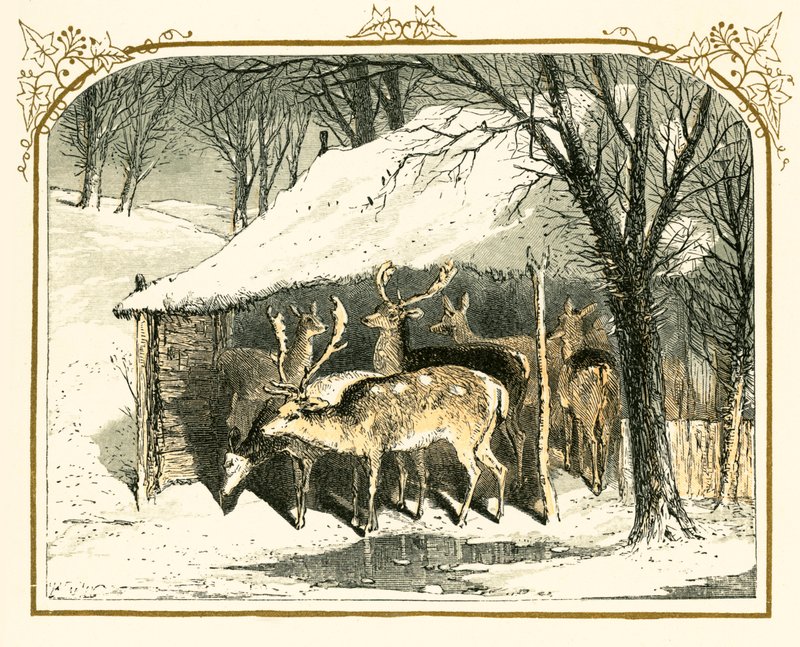 Rådjur i snön av Myles Birket Foster
