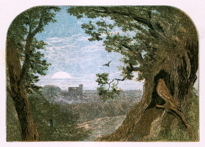Illustration för 