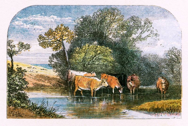 Illustration för "Den öde byn" av Myles Birket Foster