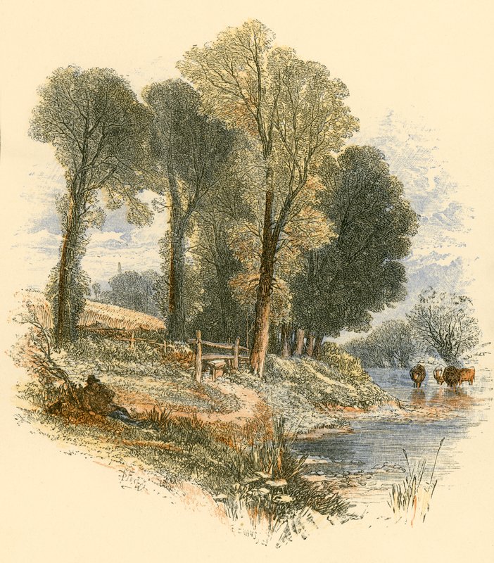 Söndagsvandringar av Myles Birket Foster