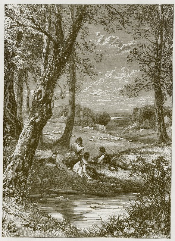 En hyllning till en landsmans liv av Myles Birket Foster
