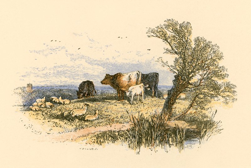 Kyrkklockorna av Myles Birket Foster