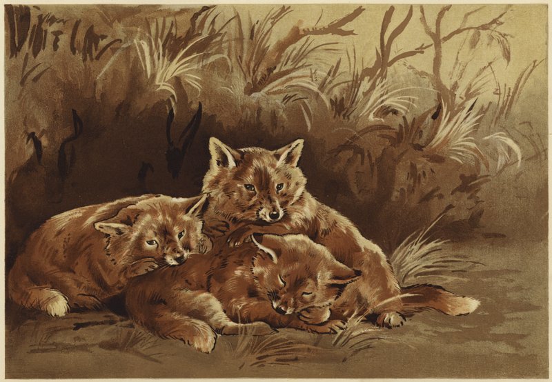 Rånarhålan (litho) av N. Parker