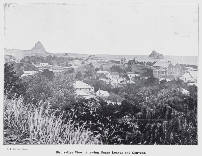 New Plymouth, Nya Zeeland: Fågelperspektiv, visa sockerlimpor och kloster (s/v foto) av New Zealand Photographer