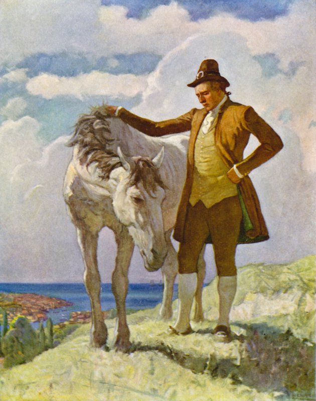 Sir Nat och hästen av Newell Convers Wyeth