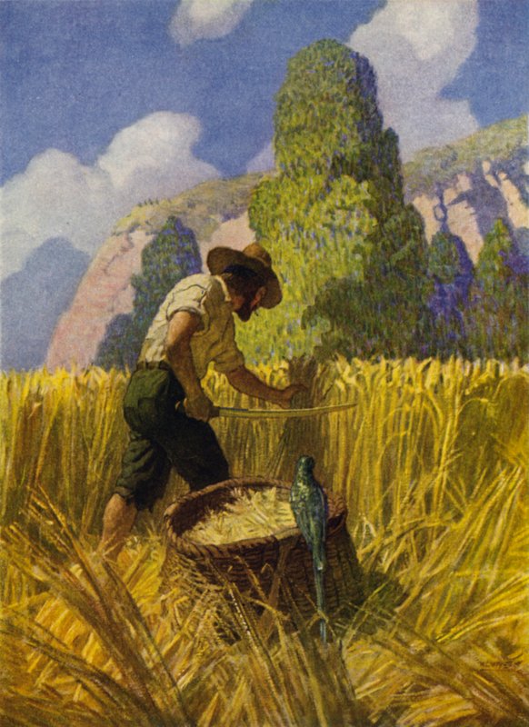 Illustration för Robinson Crusoe (färg litho) av Newell Convers (after) Wyeth