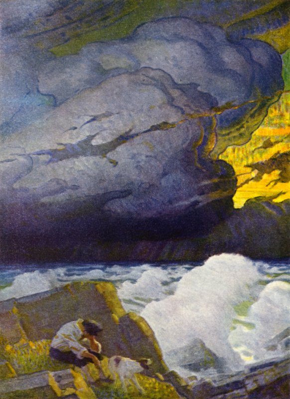 Illustration för Robinson Crusoe (färg litho) av Newell Convers (after) Wyeth