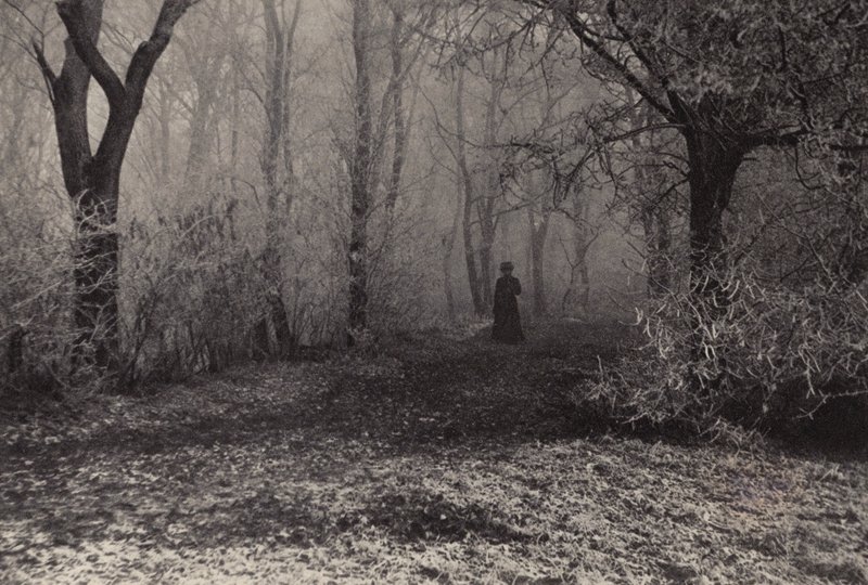 I skogen i Wien (svartvitt foto) av Nichol Elliot
