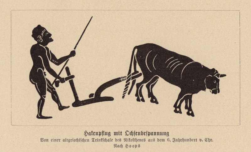 Antik grekisk oxdragen plog (litografi) av Nikosthenes
