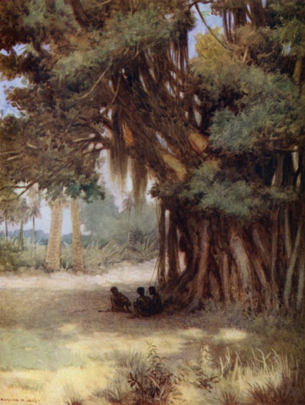 Beneath a Banyan Tree, Malekula Island, New Hebrides (färgmedlemmar) av Norman Hardy