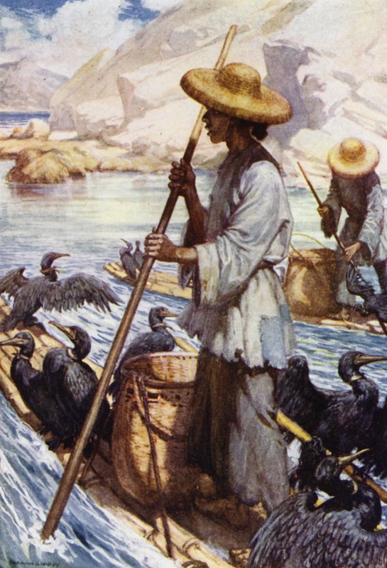 Kina: Fiske med skarv (färg litho) av Norman Hardy