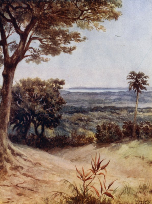 Havannah Harbour, Rathmoy, Nya Hebriderna (färg litho) av Norman Hardy