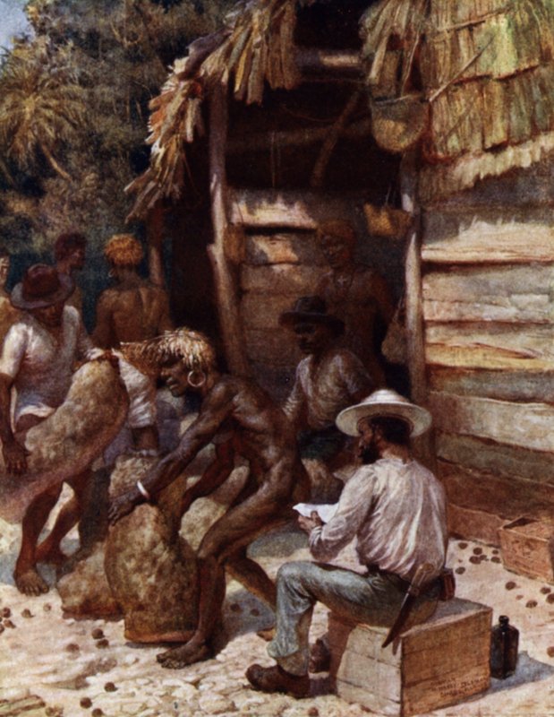 Johnnie Pratt med sina elfenbensnötter på Simbo, Salomonöarna (färg litho) av Norman Hardy