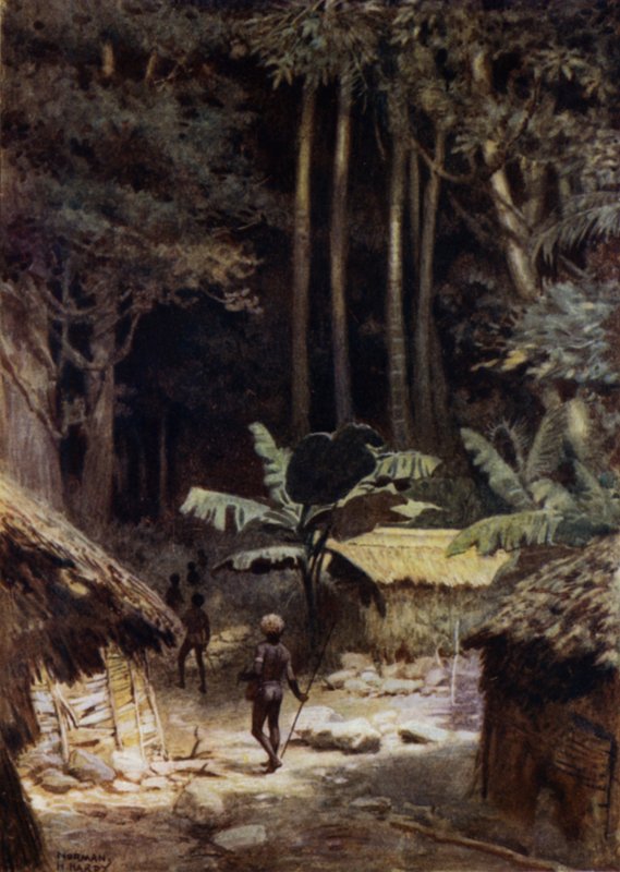 I utkanten av en urskog, Salomonöarna (färg litho) av Norman Hardy