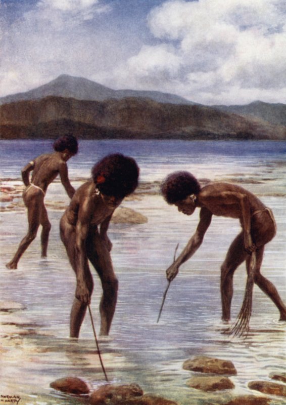 Söker efter små bläckfiskar på revet vid lågvatten, Samari, Brittiska Nya Guinea (färg litho) av Norman Hardy