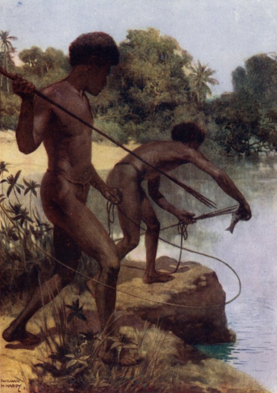 Spearing Fish, Brittiska Nya Guinea (färg litho) av Norman Hardy