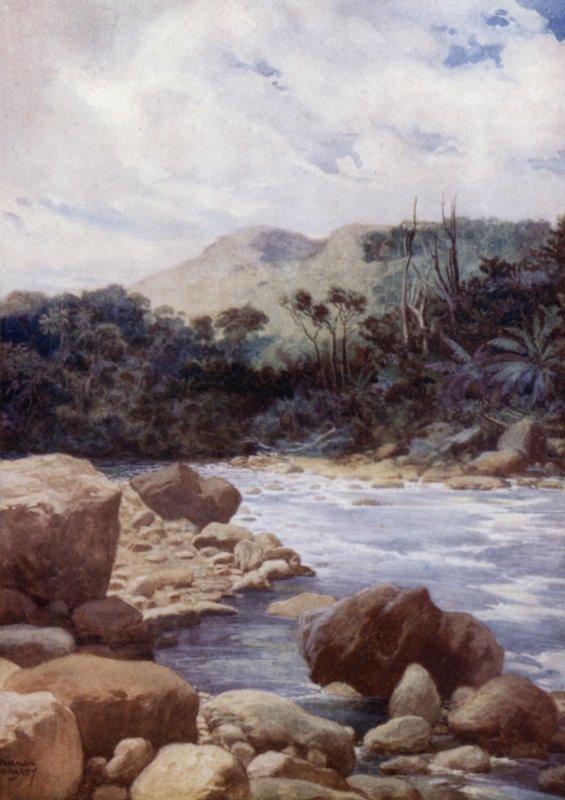 The Rapids, Williams River, Island of Eromanga, Nya Hebriderna (färg litho) av Norman Hardy