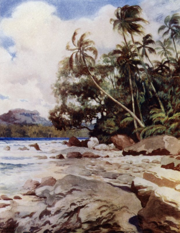 Revet nära Simbo, Salomonöarna (färg litho) av Norman Hardy