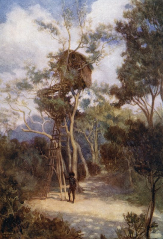 Trädhus i Brittiska Nya Guinea (färg litho) av Norman Hardy