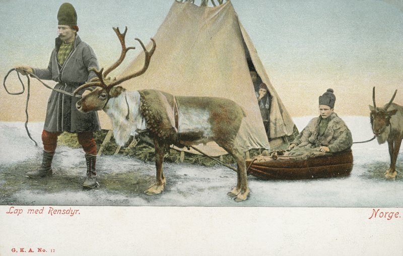 Laplanders med renar, Norge (färgfoto) av Norwegian Photographer