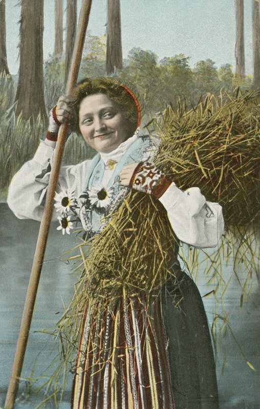 Norsk tjej under skörd (färgfoto) av Norwegian Photographer