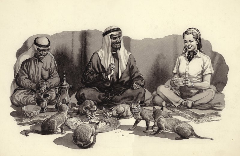 En arabisk man matar sina katter (gouache på papper) av Pat (1907-95) Nicolle