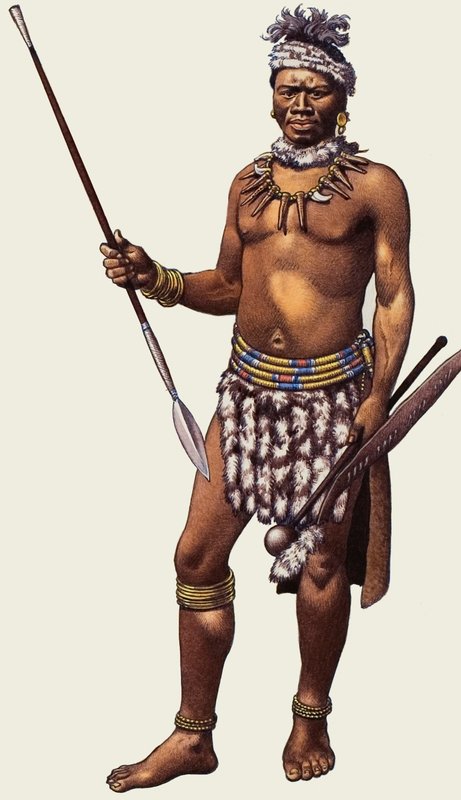Zulukrigare av Pat (1907-95) Nicolle