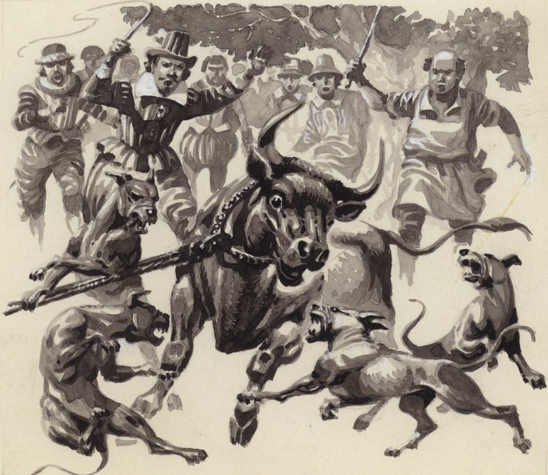 Bull baiting (gouache på papper) av Pat (1907 95) Nicolle