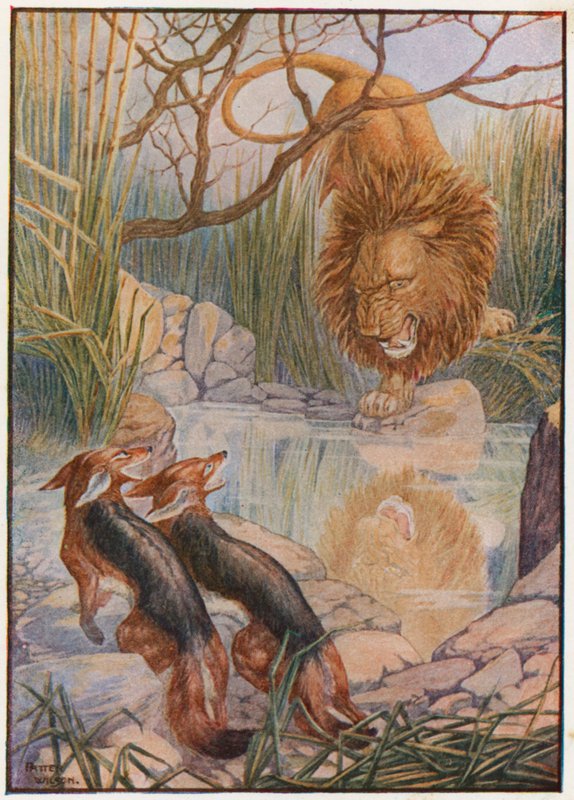 Ett lejons ansikte tittade tillbaka på honom ur vattnet (färg litho) av Patten Wilson