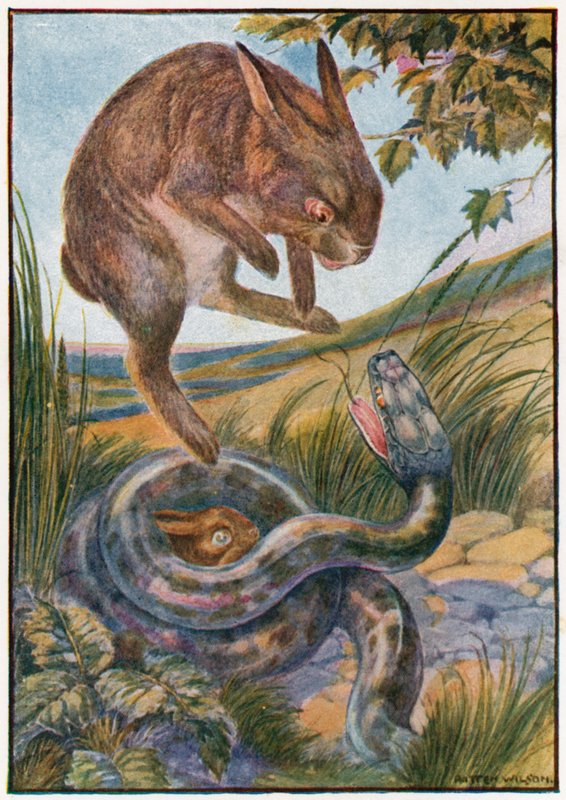 När hon hoppade slog hon till ormen med sina starka bakklor (färg litho) av Patten Wilson