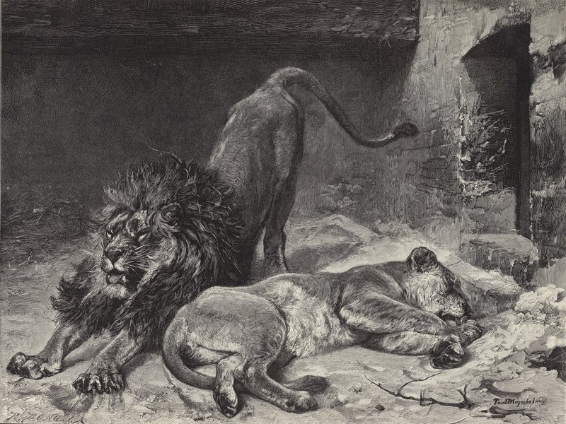 Lejonets uppvaknande av Paul Friedrich Meyerheim