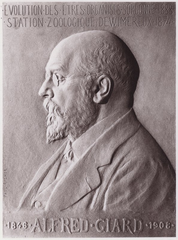 Alfred Giard (1846-1908), zoolog, porträtt (litho) av Paul Marie Louis Pierre Richer