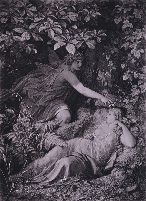 Scen ur Shakespeares En midsommarnattsdröm (akt IV, scen 1) (litho) av Friedrich Paul Thumann