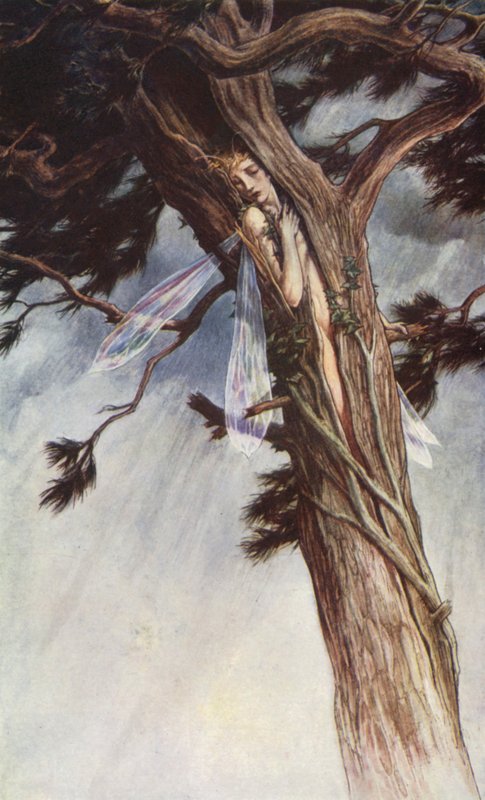 The Tempest av William Shakespeare, Akt I, Scene 2 (färg litho) av Paul Vincent Woodroffe