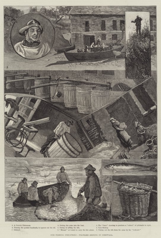 Våra fiskeindustrier, Pilchard Seining i Cornwall av Percy Robert Craft