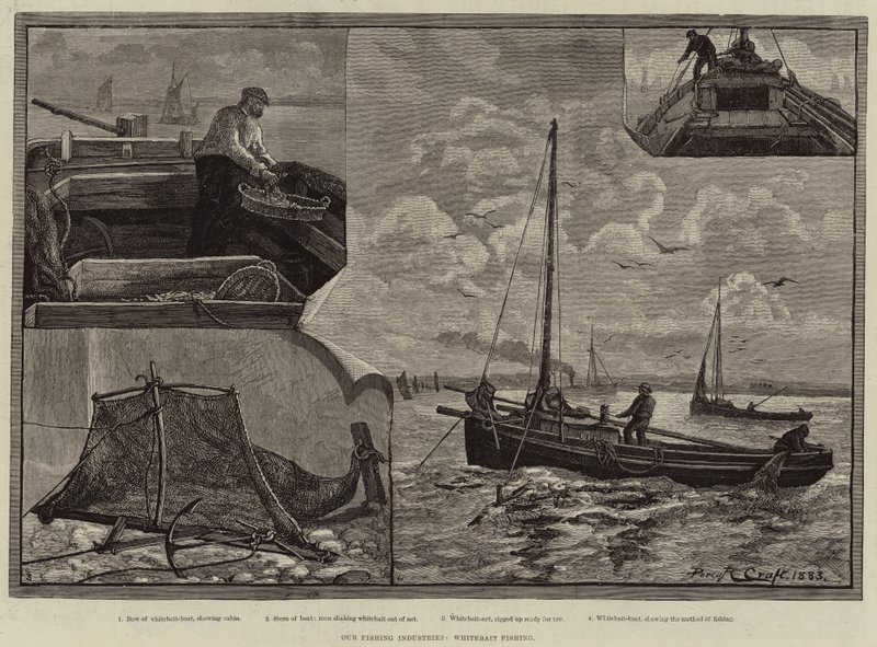 Våra fiskeindustrier, Whitebait Fishing av Percy Robert Craft