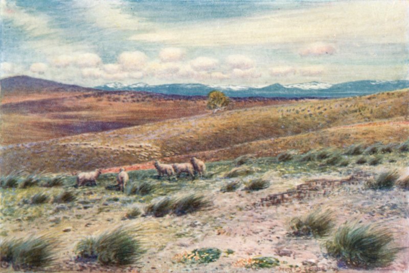Snowy Mountains nära platsen för den federala huvudstaden (färg litho) av Percy F.S. (after) Spence