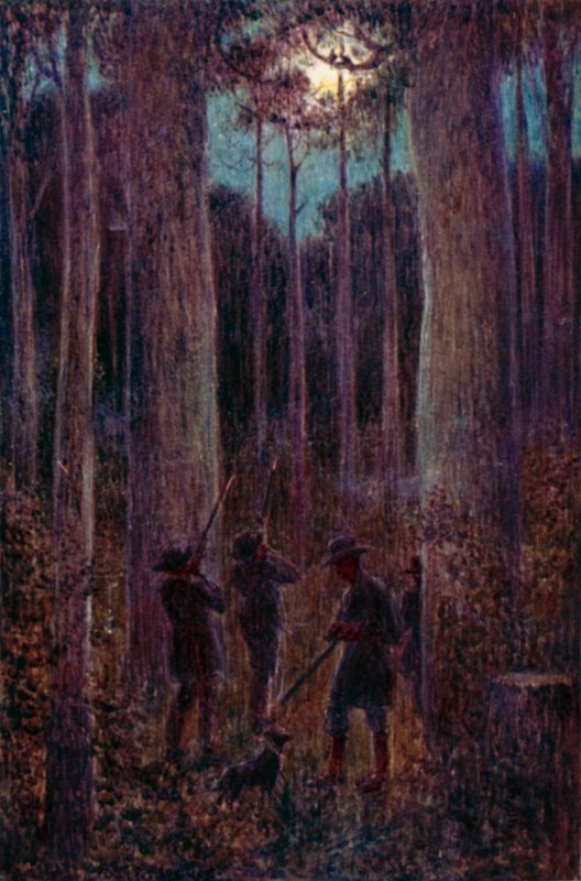 Den australiensiska skogen på natten, "mooning" opossums (färg litho) av Percy F.S. (after) Spence