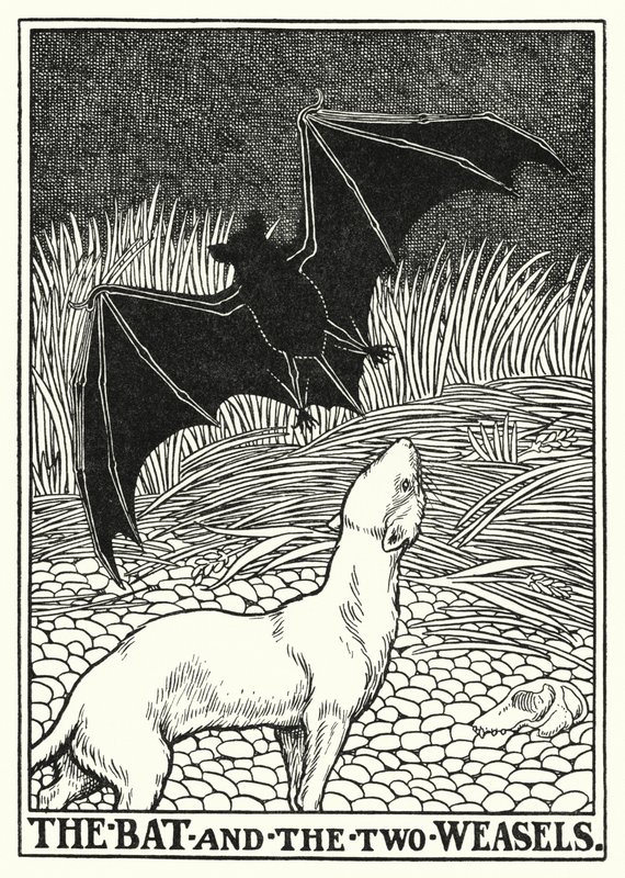 Fables of La Fontaine: Fladdermusen och de två vesslorna (litho) av Percy James Billinghurst